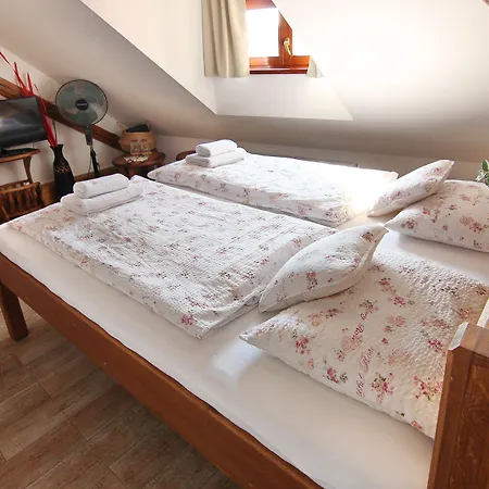 Homestay szállás House Of Roses Kutná Hora